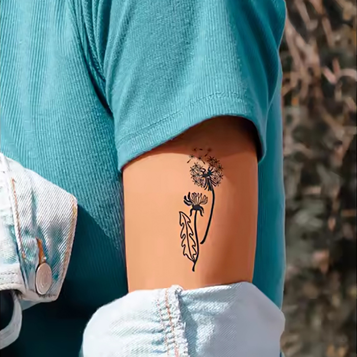 Pusteblume & Schmetterling – Bild 1