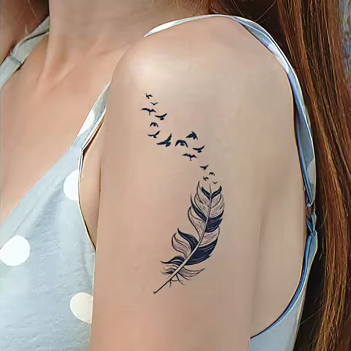 Federn & Vogelfreiheit – Bild 1