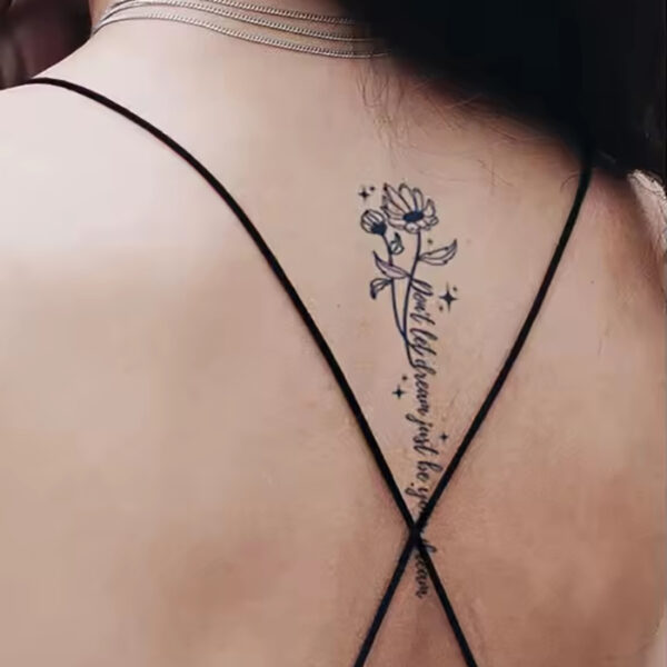 Federn und Flug – Bild 1